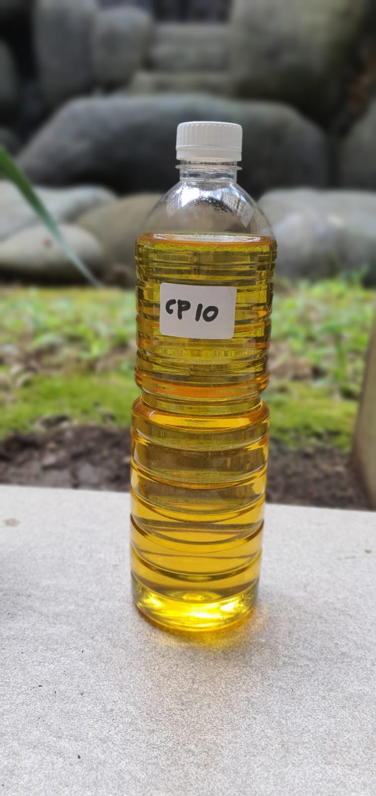 WhatsApp Gallery Latest